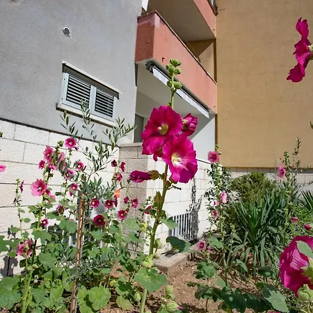 Apartman Nook Bb Split